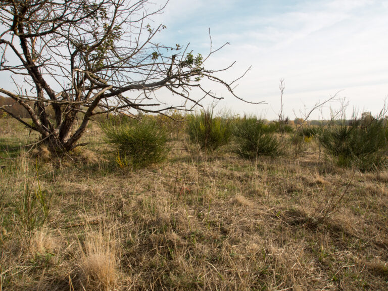 Wildnis entlang von ca. 55 kilometern Wanderwegen